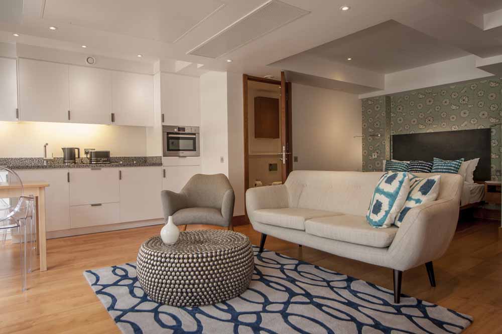 Premium Studio Apartment - Living Area 