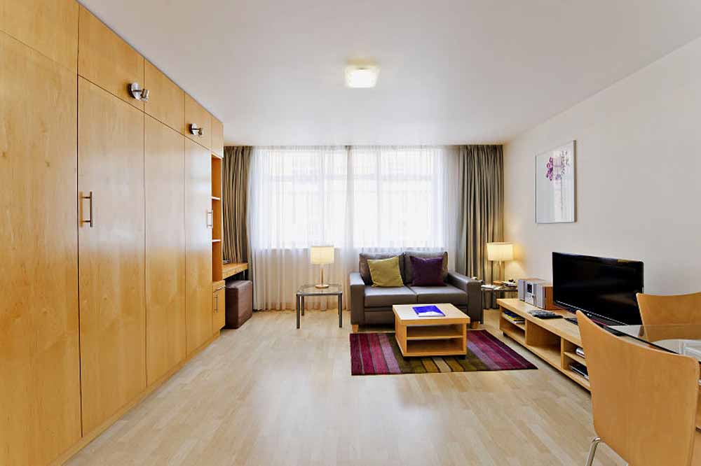 Premium Studio Apartment - Living Area